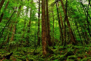 世界保龄球高校联赛教练员职业发展专题班启动，保龄球选手世界排名
